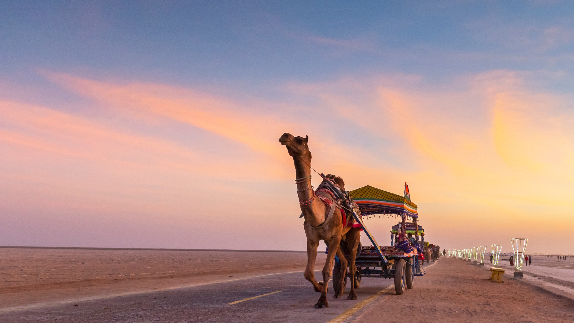 Little Rann of Kutch