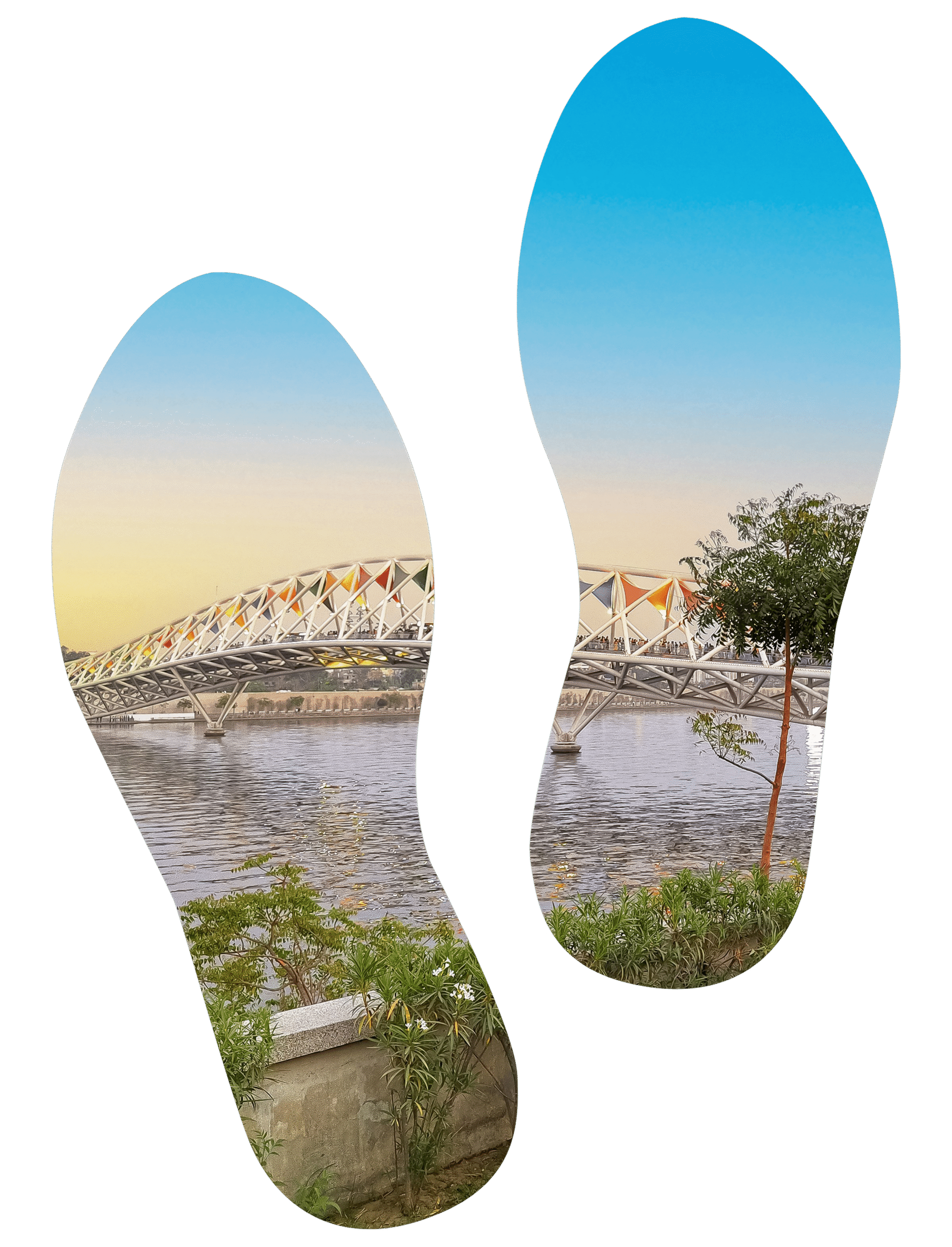 Home New 8 Greenest Hotel in Ahmedabad - House of MG