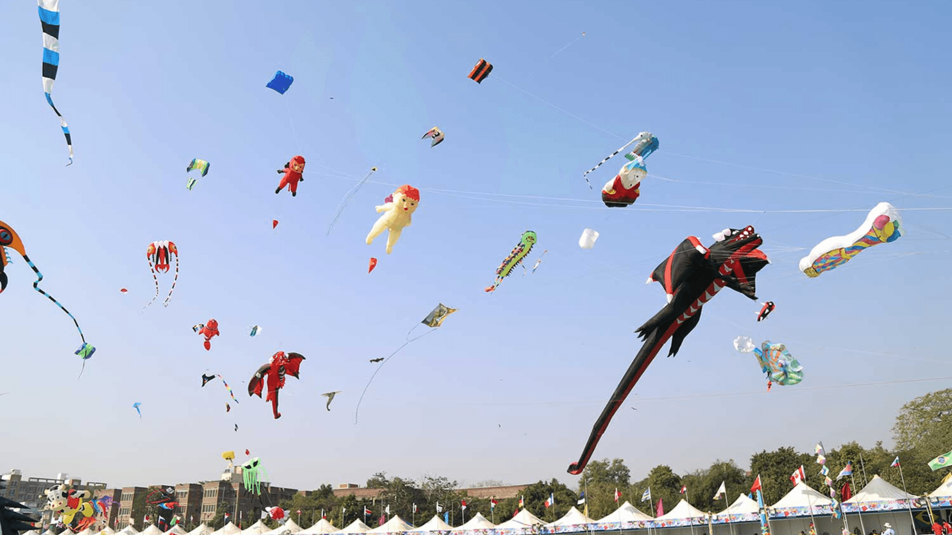 Kite Festival Celebrations Across the City