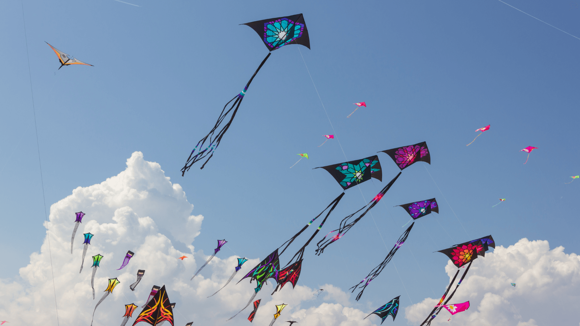 Kite Flying at House of MG During the Uttarayan Season